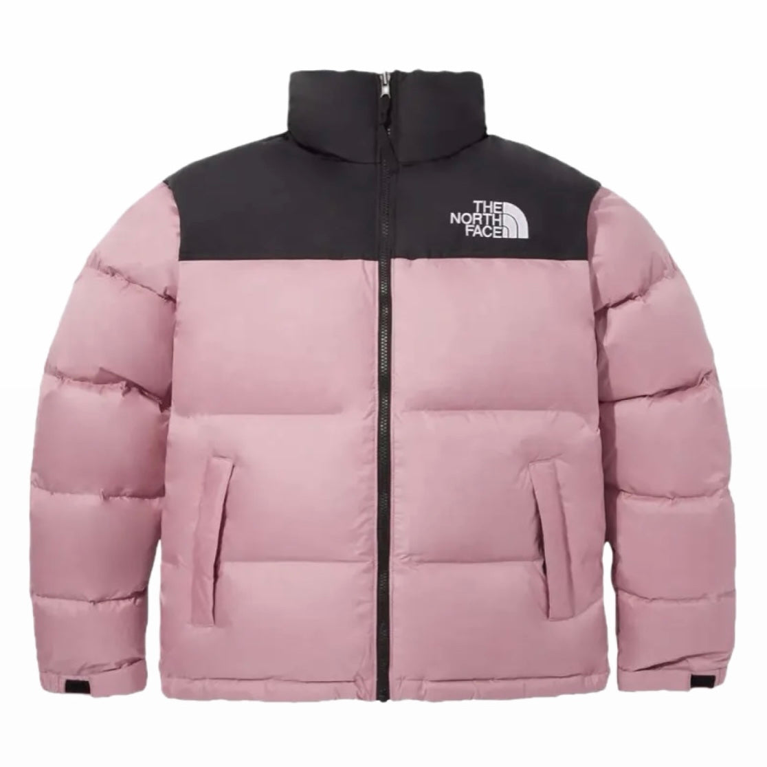 NORTH - JACKET